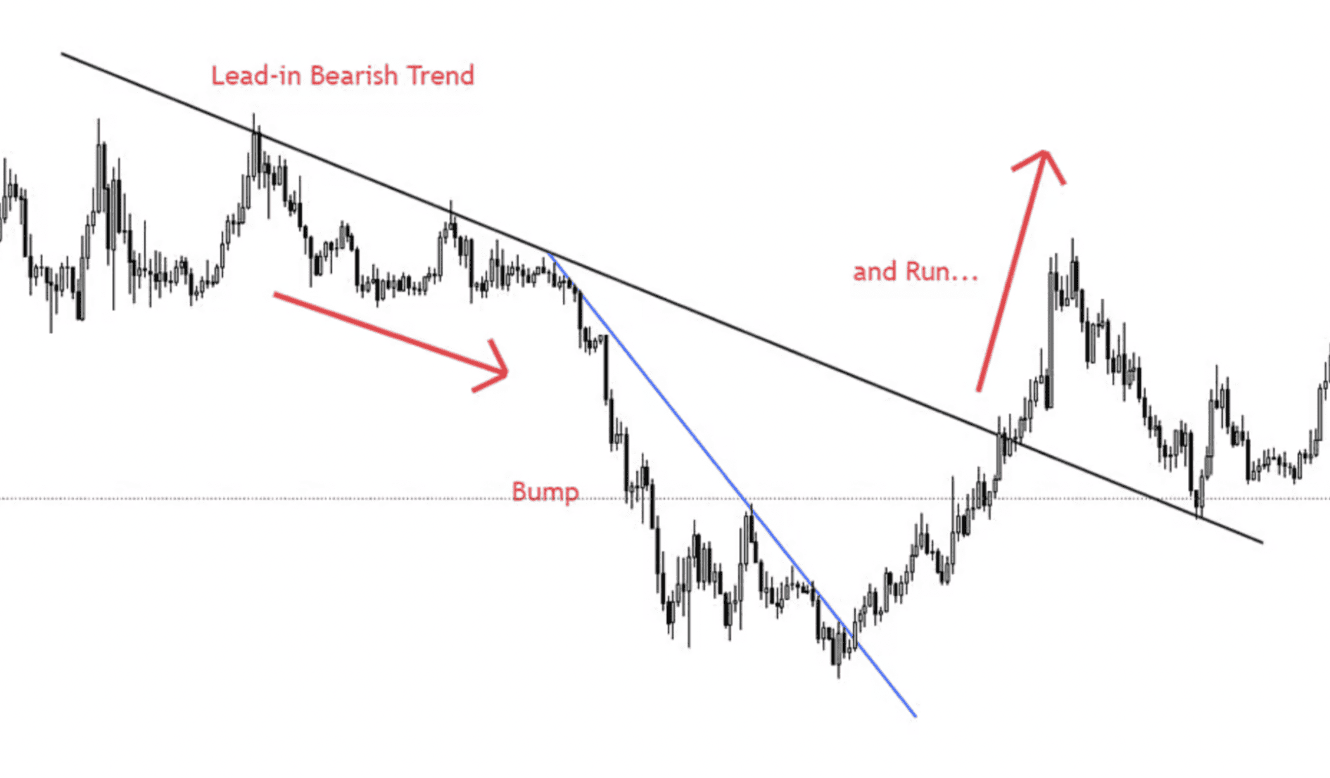 toncoin bump and run