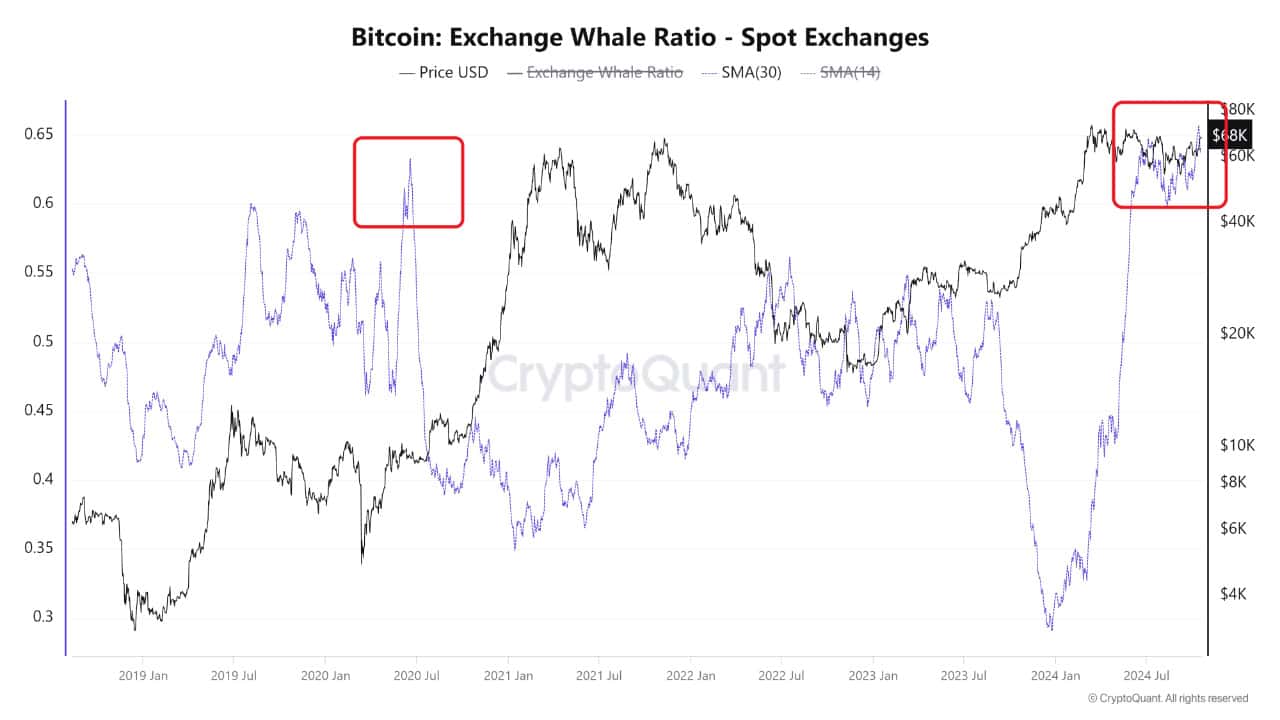 btc exchange ratio okt20