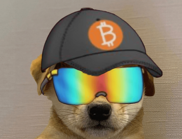 wif bitcoin hat