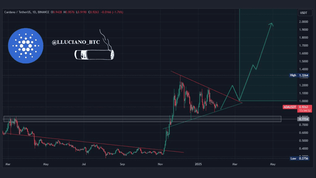 cardano arf feb5