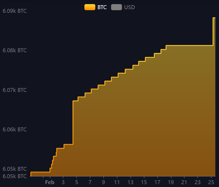 el salvador btc feb25