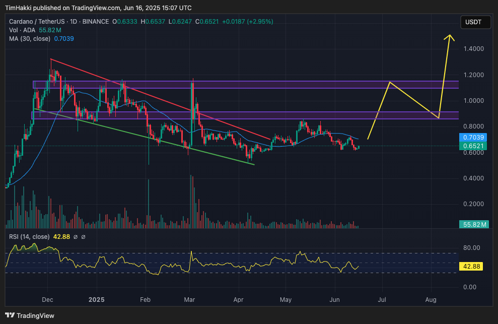 cardano jun16
