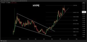 hype elemzes