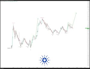 cardano javon tm1