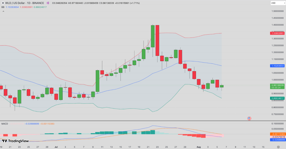 worldcoin aug7