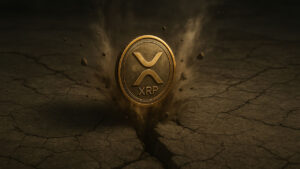 xrp borito aug18