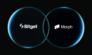 bitget - morph