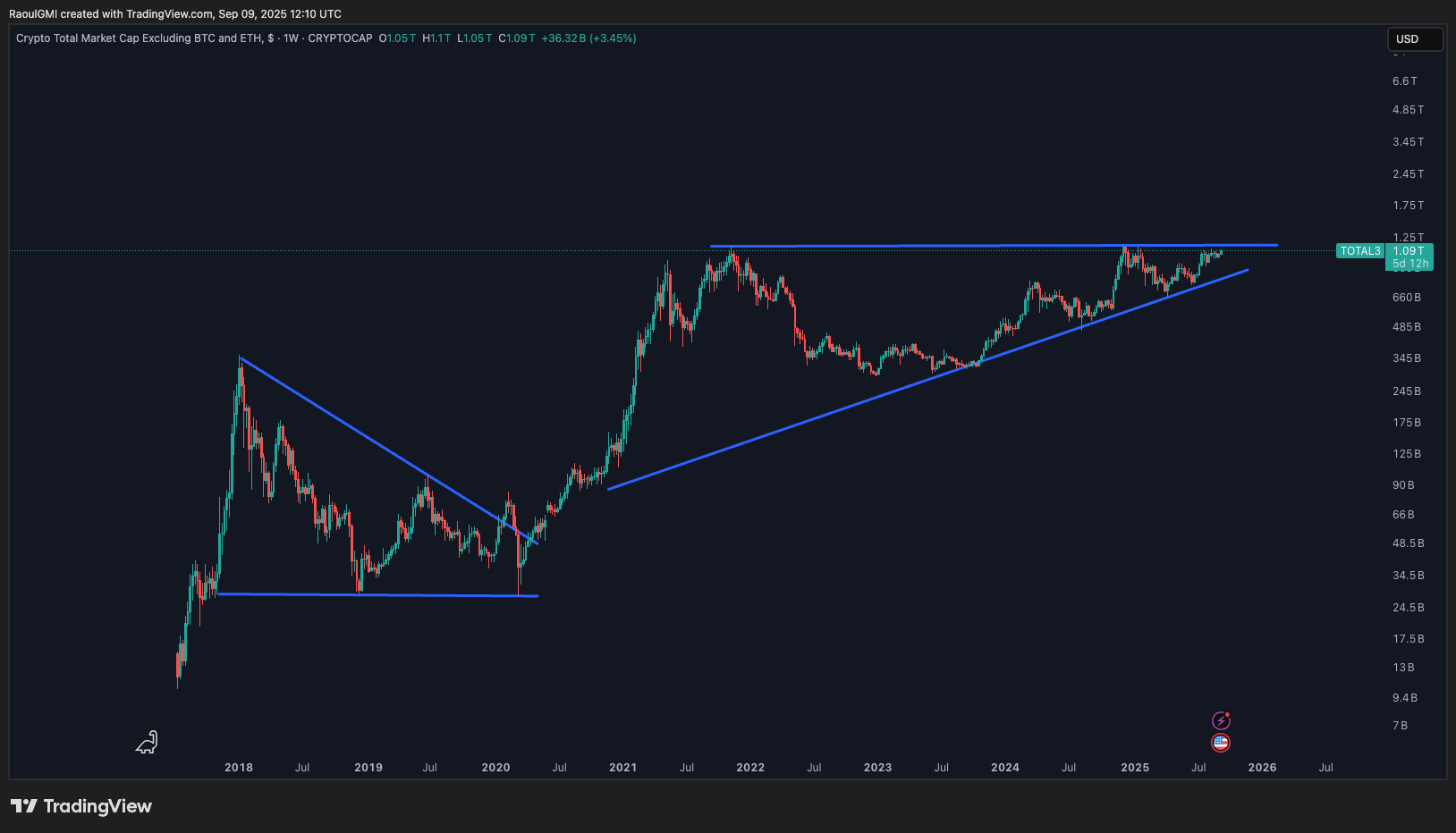 raoul pal xrp total3