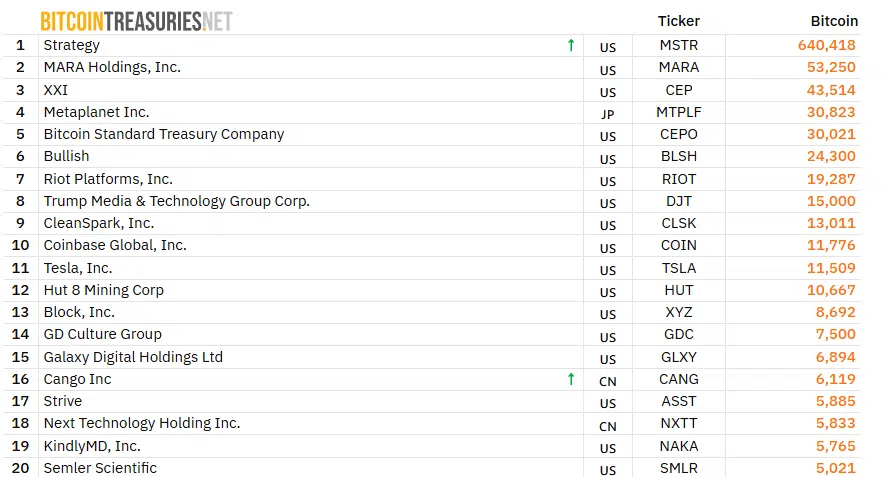 bitcoin treasuries