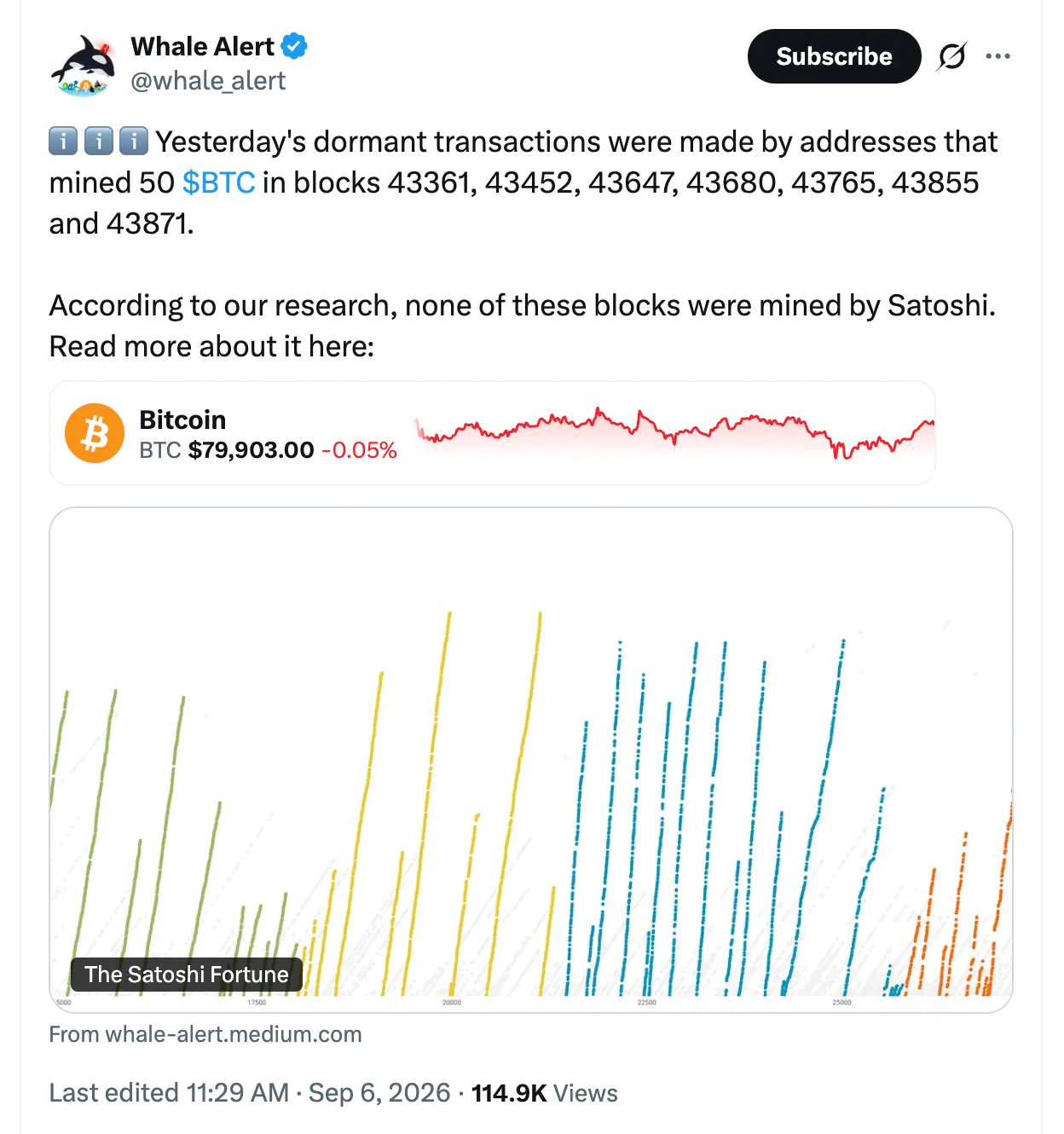 whale-alert-szept6